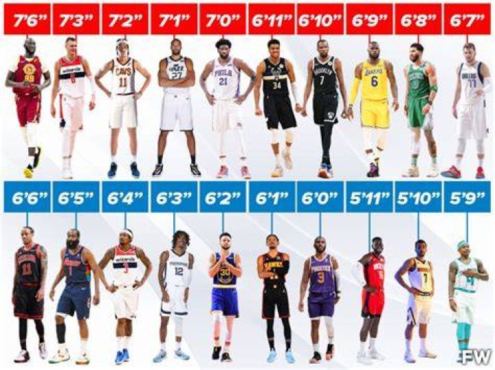 What percent of NBA players are white?