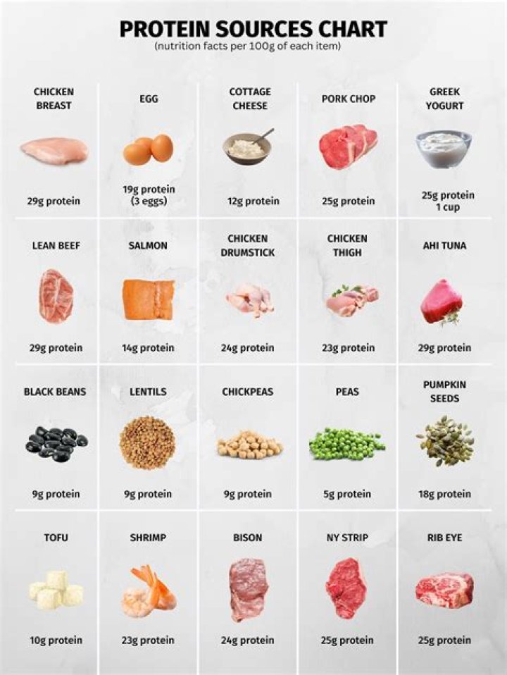 What protein can I take while pregnant?