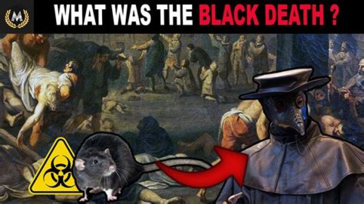 What route did the Black Death take?