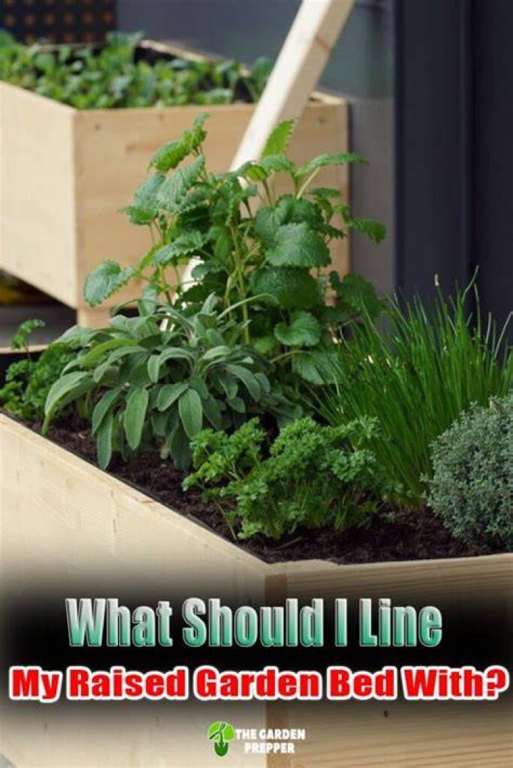 What should I line my raised garden bed with?