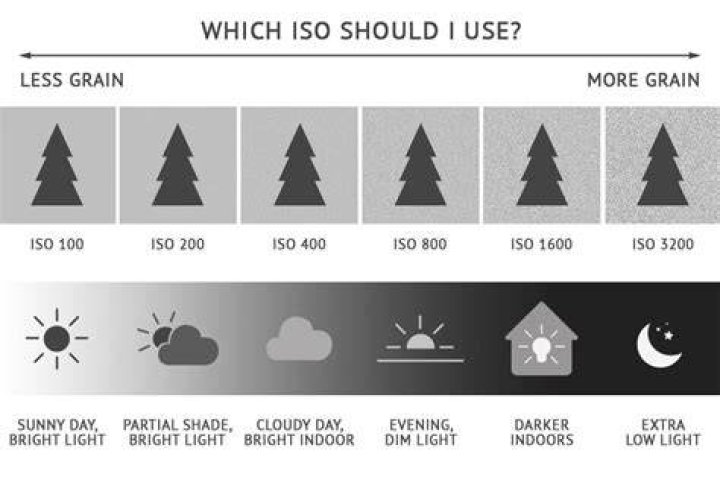 What should your ISO be in full sunlight?