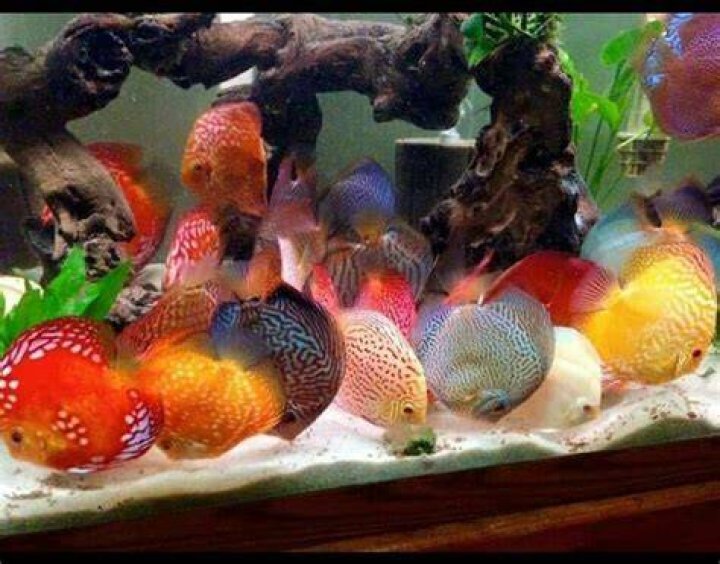 What size heater do I need for a 100 gallon aquarium?
