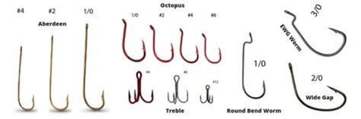 What size hooks for sharks?
