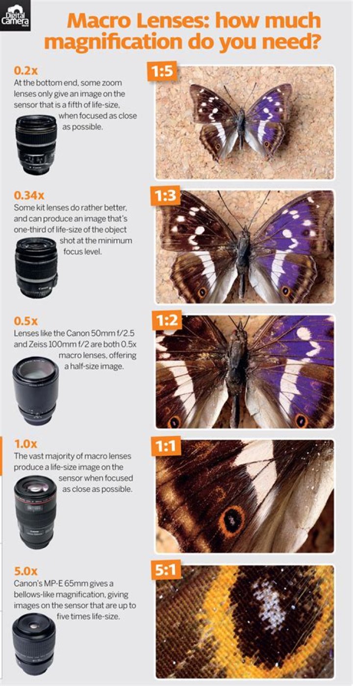 What size is a macro lens?