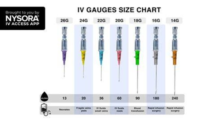 What size is green IV?