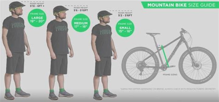 What size of mountain bike should I get?