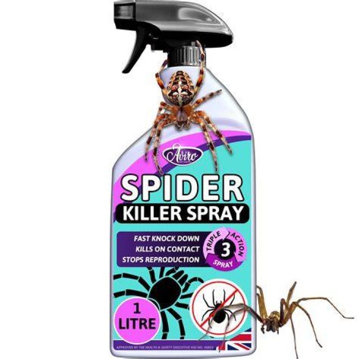What spray is best to kill spiders?
