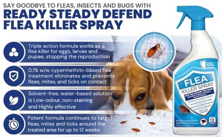 What to spray on furniture to kill fleas?