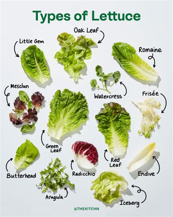 What type of lettuce is leaf lettuce?