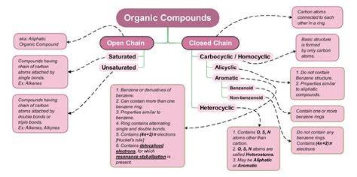 What type of organic compound is an enzyme?