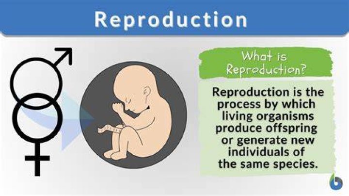 What type of reproduction is sexual reproduction?