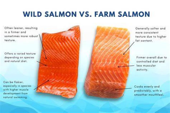 What type of salmon is farmed?