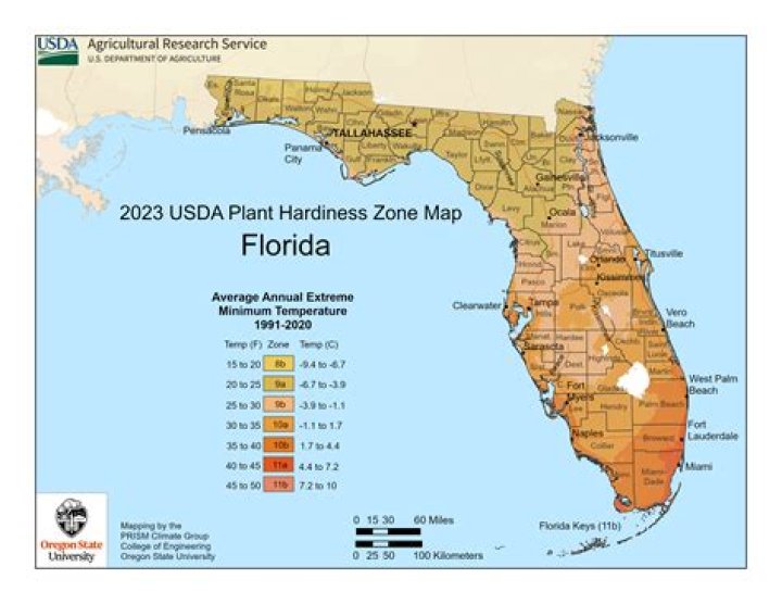 What USDA zone is Florida?