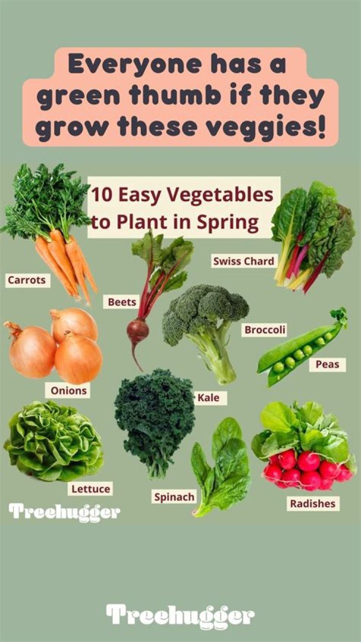 What vegetables are best to plant in the spring?