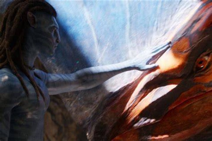 What was Avatar about?