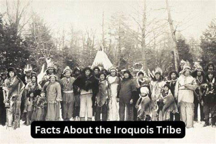 What was the family structure of the Iroquois?