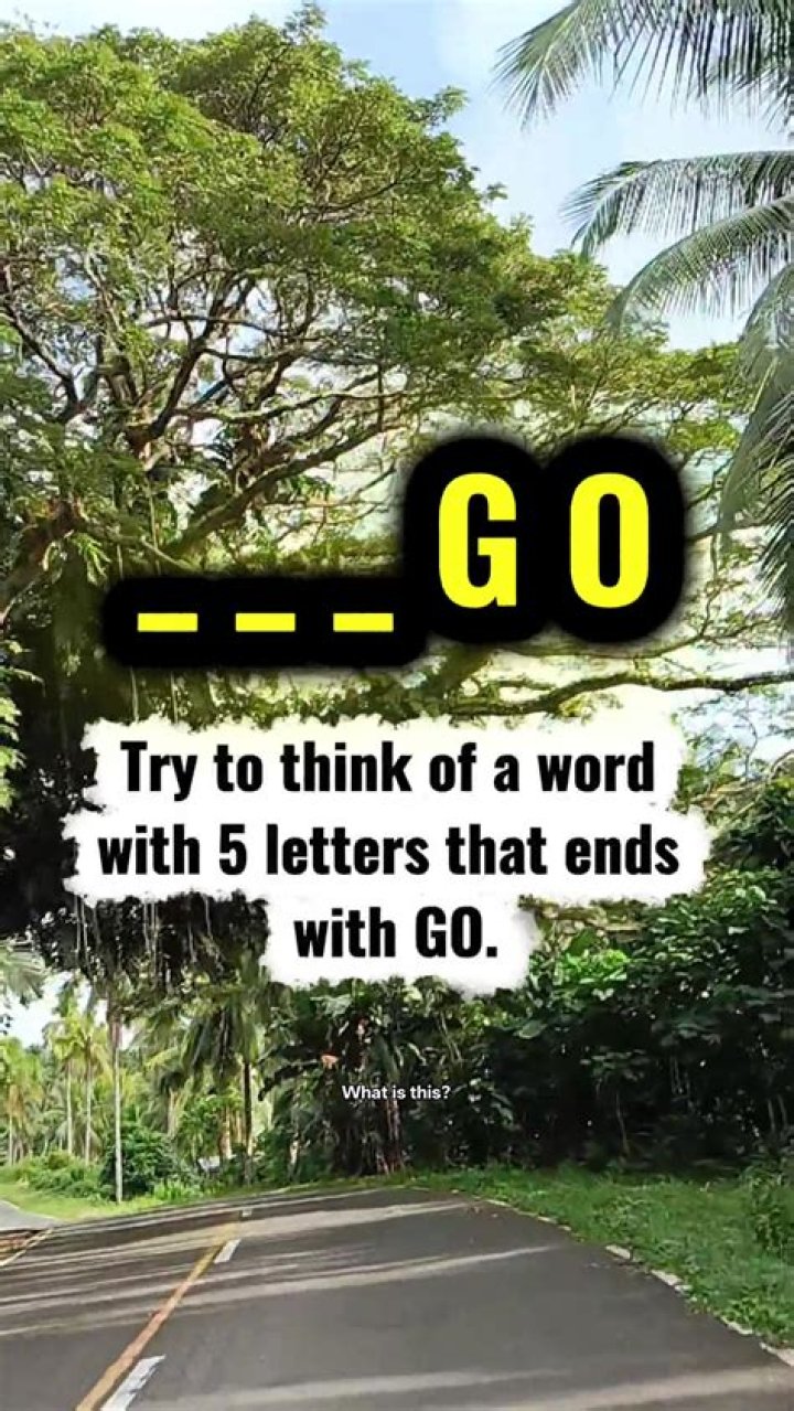 What word ends with go?