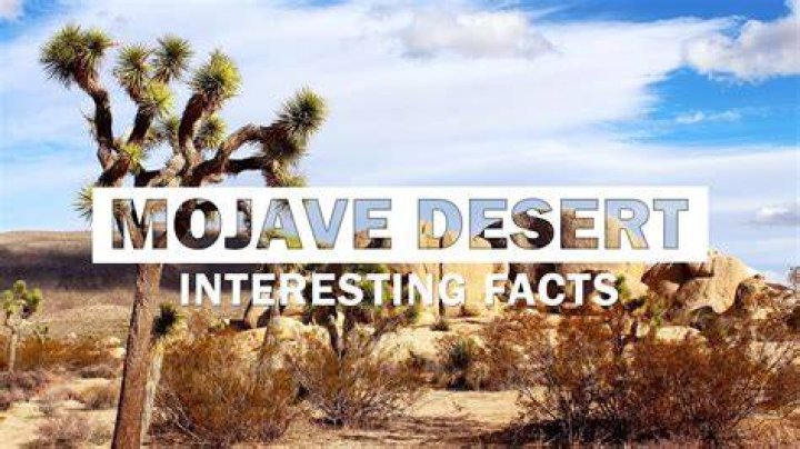 Whats new about Mojave? | ContextResponse.com