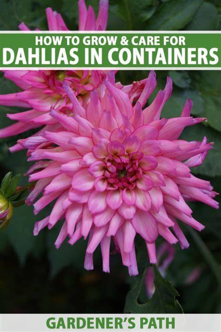When can I plant in Alabama?