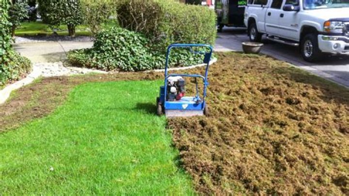 When should I Dethatch my lawn in PA?