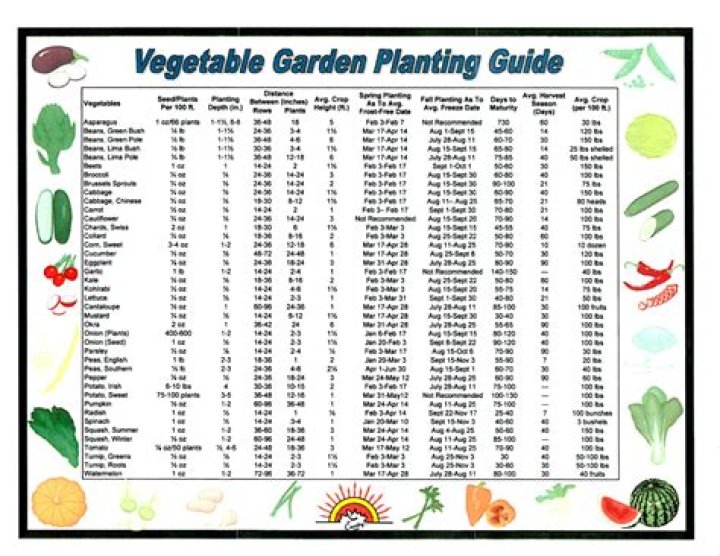 When should I plant my garden in NJ?