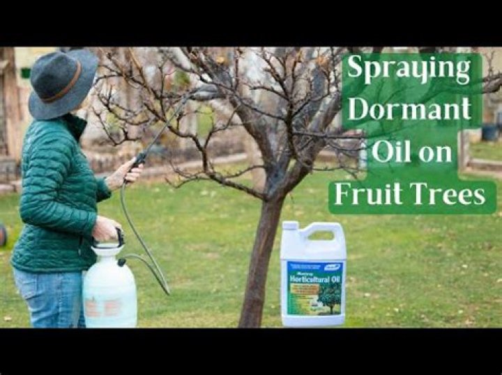 When Should I spray my fruit trees?
