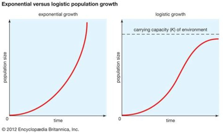 When the exponential phase of logistic growth curve of a population ceases?