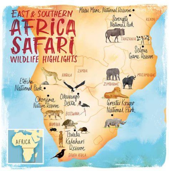 Where are Safari extensions stored?