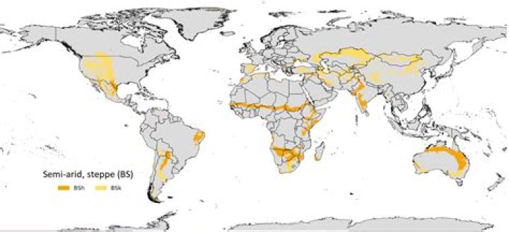 Where are steppe climates located?