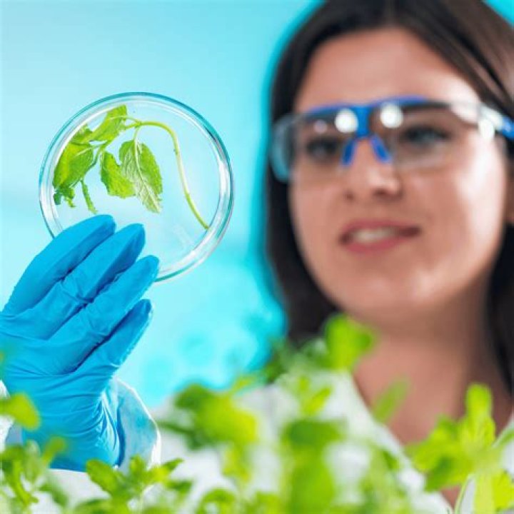 Where can a cell biologist work?