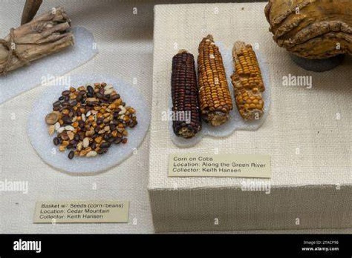 Where did Anasazi beans come from?