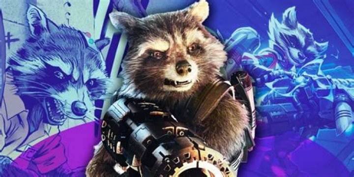 Where did Rocket Racoon come from?
