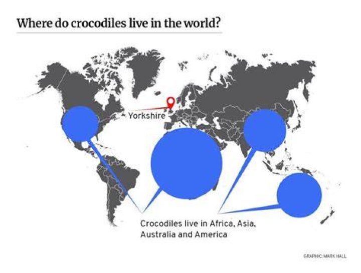 Where do crocodiles live?