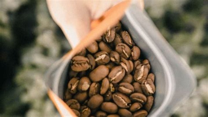 Where do robusta coffee beans come from?