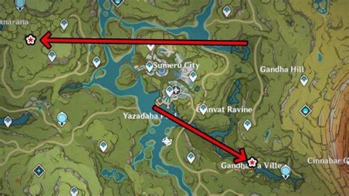 Where do you get mushroom spawn?