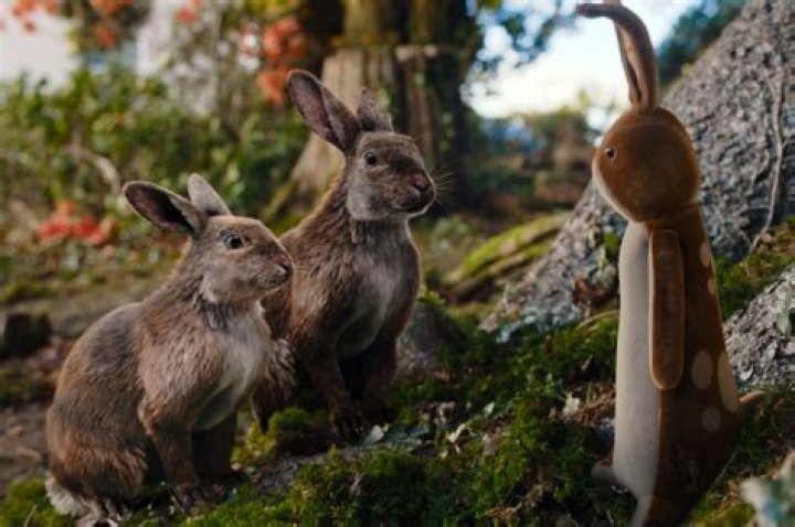 Where does the Velveteen Rabbit take place?
