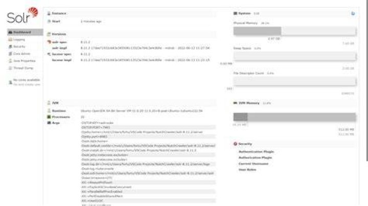 Where is SOLR index stored?