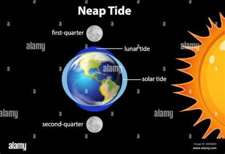Where is the moon during neap tides?