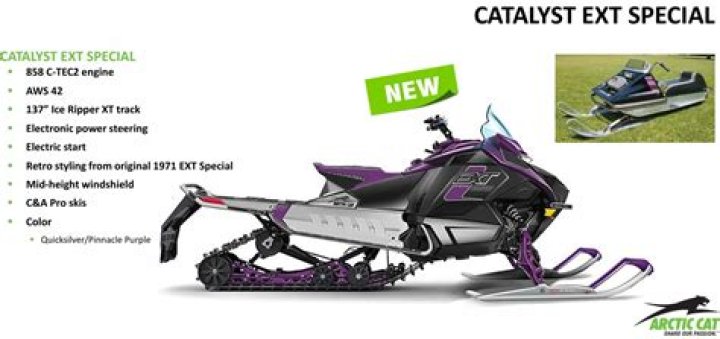 Where is the serial number on an Arctic Cat snowmobile?