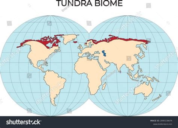 Where is tundra located? | ContextResponse.com