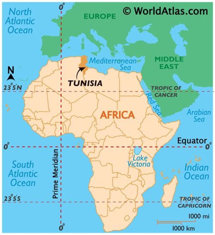 Where is Tunis located?