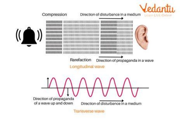 Which are the mediums for sound propagation?