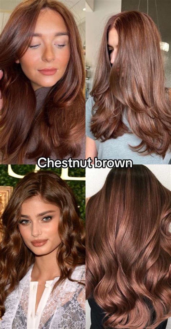Which color is darker chestnut or brown?