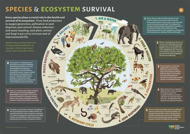 Which environment is characterized by the highest diversity of tree species?