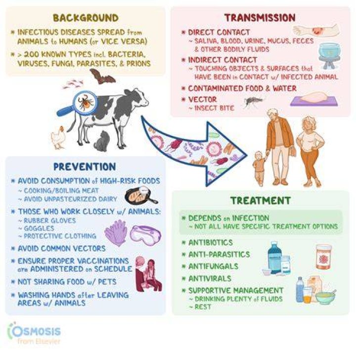 Which granulocyte helps protect against infections caused by parasites?