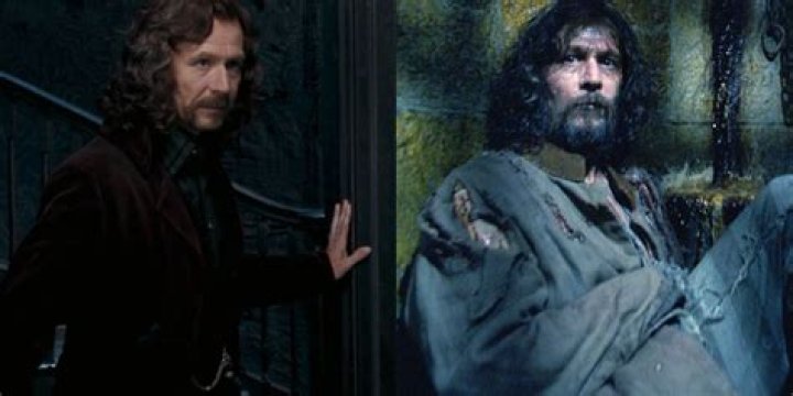 Which Harry Potter does Sirius die?
