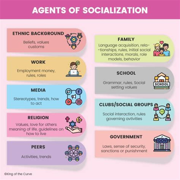 Which is an example of an institutional agent of socialization?
