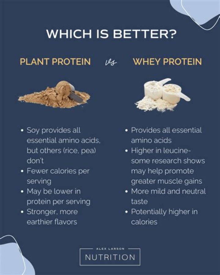 Which is better whey protein or whey protein isolate?