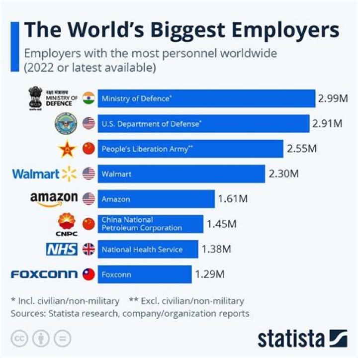 Which is the largest employer in India?