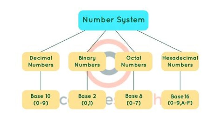 Which number system is usually followed in a typical 64 bit computer?